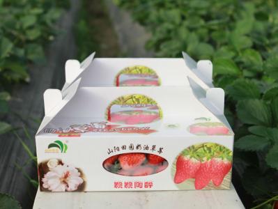 奶油草莓礼盒